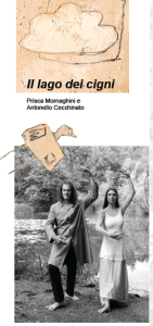 locandina lagocigni